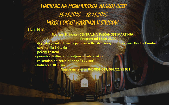 martinje-2016-plakat